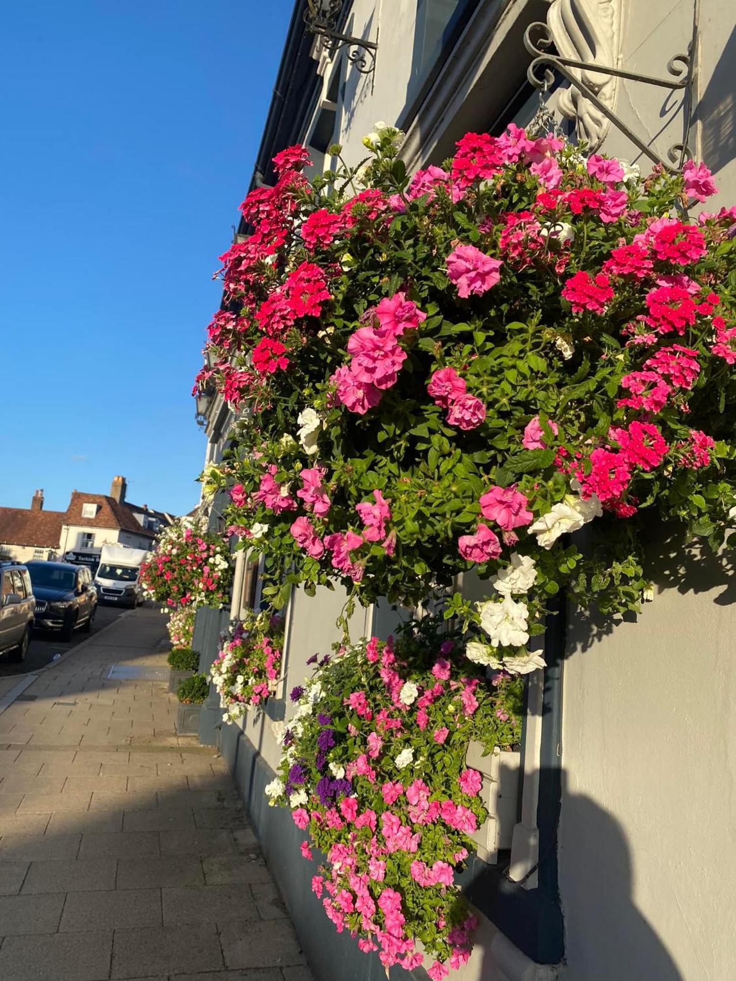 The Swan Hotel, Alresford New Alresford Εξωτερικό φωτογραφία